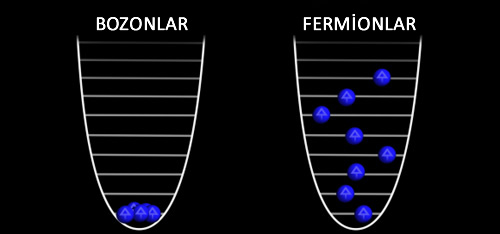 bozon ve fermionlar