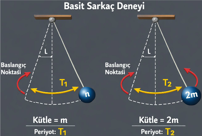 Soru 6