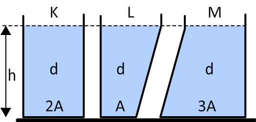Soru 2