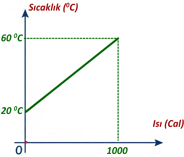 Soru 10