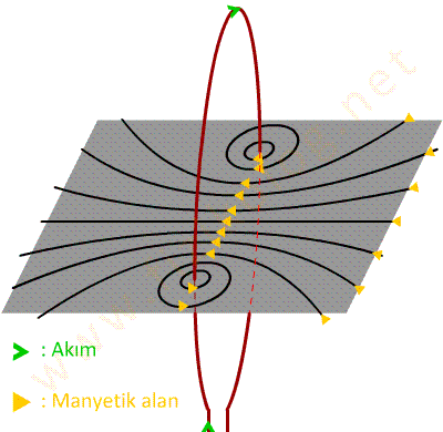 Halka tel manyetik alan
